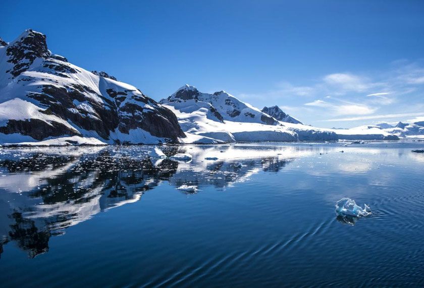 Odisea Antártica & Georgia del Sur en el M/V Greg Mortimer