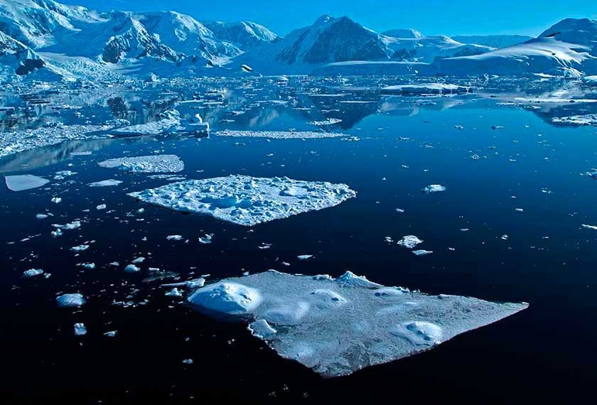 Circulo Polar Antartida <br>en el M/V Greg Mortimer o en el M/V Sylvia Earle
