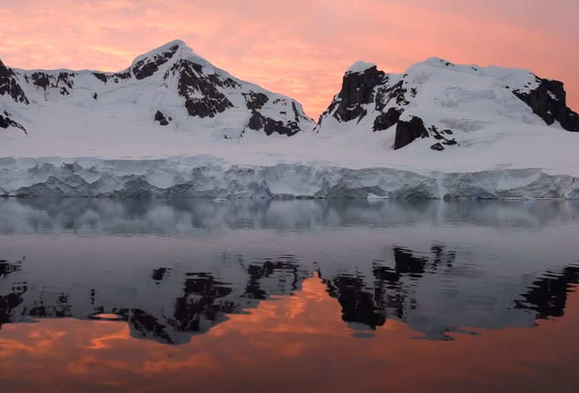 Antártida e Islas Elefante & Malvinas en el M/V Hondius