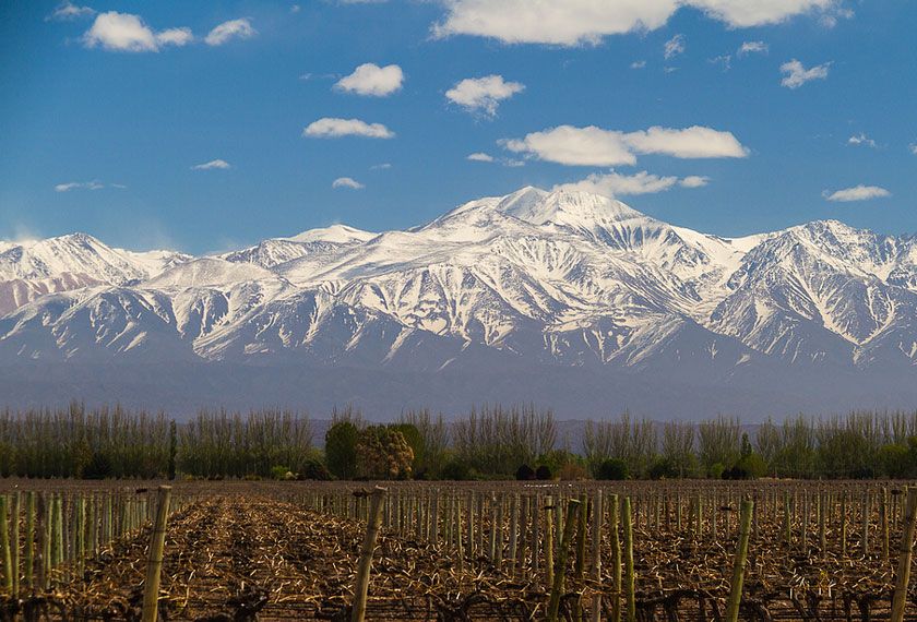 Centro y Cuyo - Degustación de Vinos en Mendoza Sommelier Vip