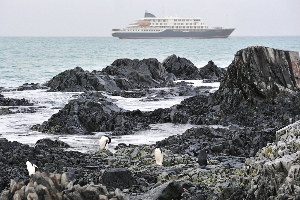 M/V Janssonius